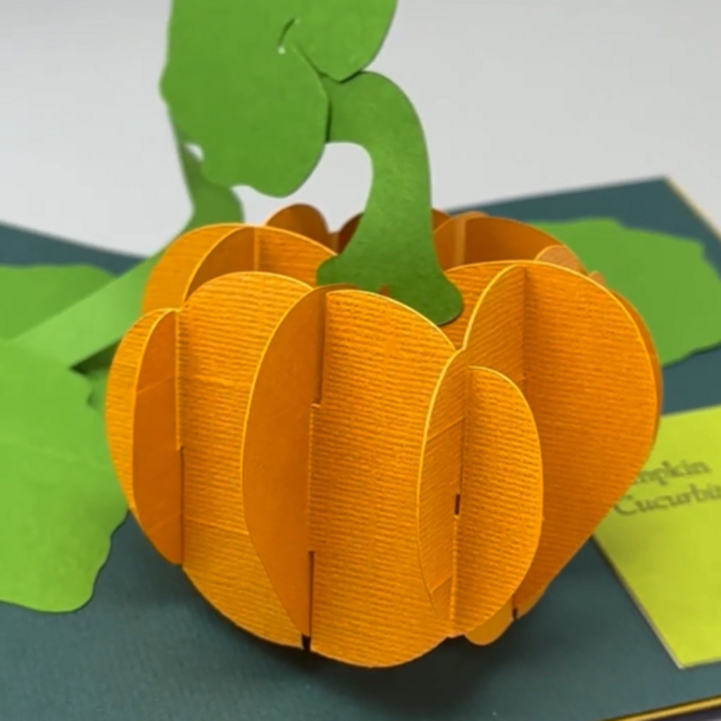 Paper Pop-Up Crafternoon: Botanicals, Bugs, and Biology promotional image