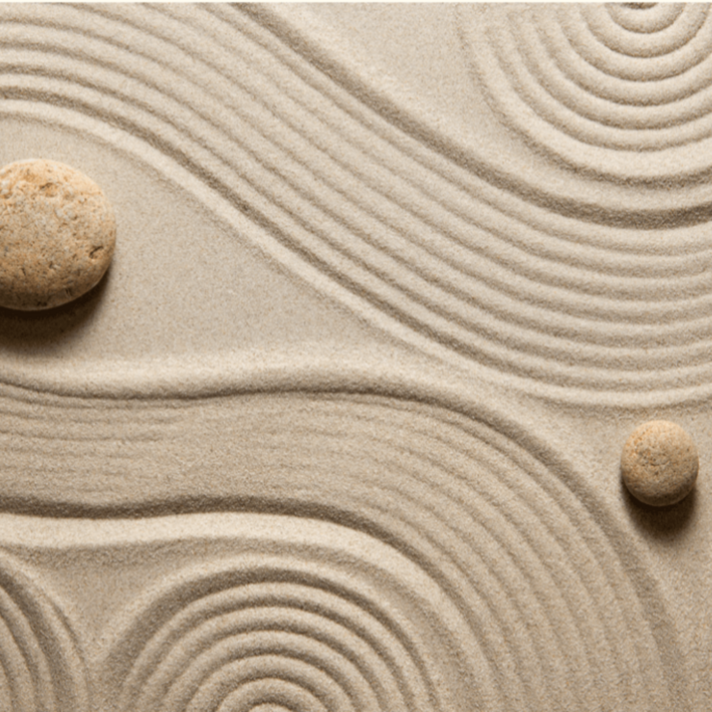 Silent Mindfulness Retreat for Students promotional image