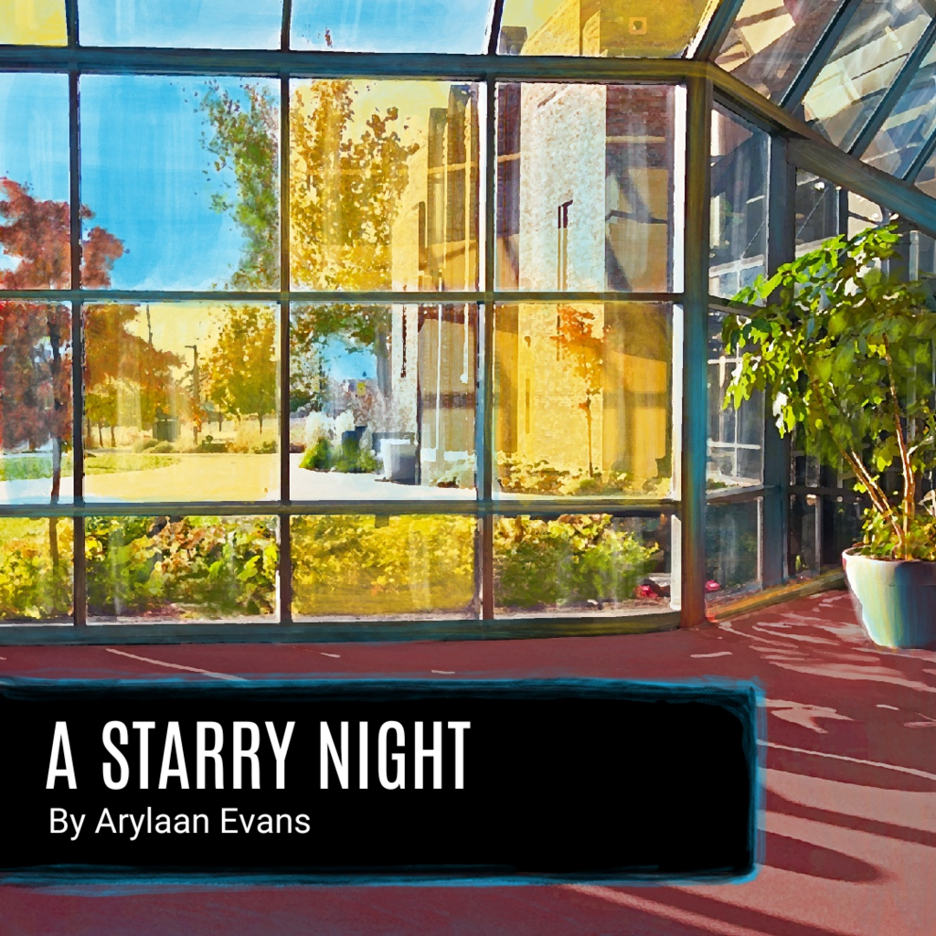 A Starry Night promotional image