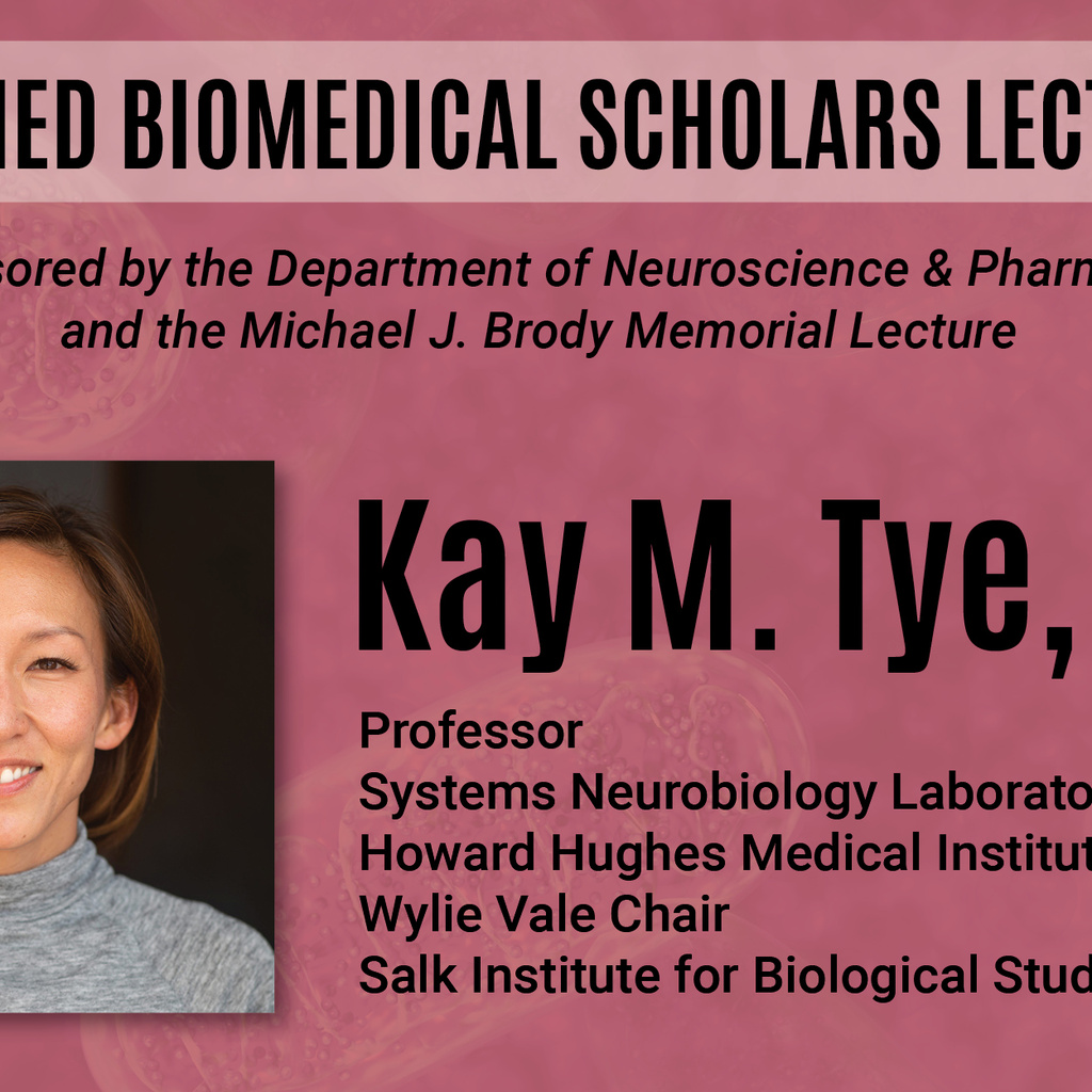 Kay M. Tye, PhD:  Distinguished Biomedical Scholars Lecture promotional image
