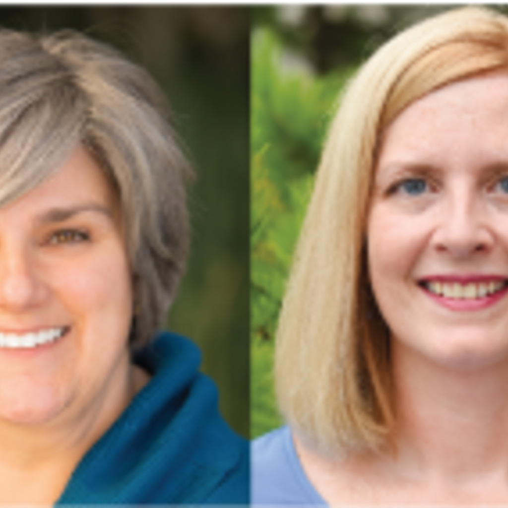 Iowa Mid-Career Faculty Scholar Symposium promotional image