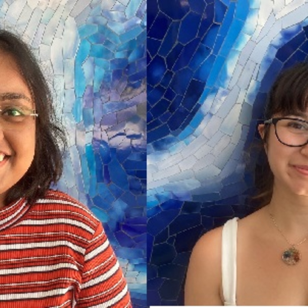 Departmental Brown Bag: Koushani Biswas and Hazal Arpaci promotional image